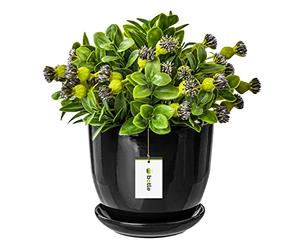 botle Pot de fleurs en céramique peint à la main Noir Diamètre 305 mm Avec soucoupe Trou d'évacuation de l'eau