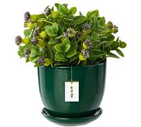 botle Pot de fleurs en céramique peint à la main Vert Diamètre 215 mm Avec soucoupe Trou d'évacuation de l'eau