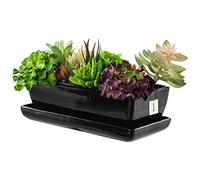 botle Pot de fleurs en forme de cactus noir avec soucoupe rectangle L x l x H 15 x 29 x 9 cm Surface brillante Cactus Céramique Moderne Glamour