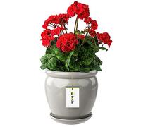 botle Pot de fleurs gris clair avec soucoupe ronde diamètre 280 mm x H 305 mm surface brillante céramique moderne glamour