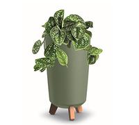botle Pot de Fleurs Pieds Haut Tube jardini?re Rond 20 cm bac ? Fleurs Mat Vert en Plastique