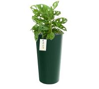 botle Pot de fleurs, rond, diamètre : 20 cm, hauteur : 38,5 cm, couleur : vert, motif à rayures, rainures verticales, surface mate, en plastique, glamour moderne, forme cylindrique, cadeau décoration
