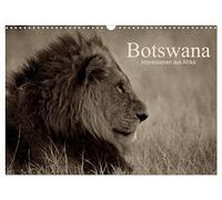 Botswana - Impressionen aus Afrika (Wandkalender 2026 DIN A3 quer), CALVENDO Monatskalender: Herrliche sepia-getonte Schwarzweiß-Fotos aus der Welt am Sambesi und im Okavangodelta.