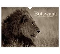 Botswana - Impressions d'Afrique, Version française (Calendrier mural 2026 DIN A4 portrait), Calendrier CALVENDO mensuel