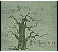 Botswana lumières d'un delta - Olivier Michaud - Cacimbo - relié - Beau livre