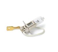 Bottari 30169 Ampoule Halogène pour Phares Avant, 24 V, 70 W