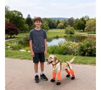 Bottes à bretelles réglables pour chien avec protections de pattes imperméables attachées, chaussures de randonnée antidérapantes pour la sécurité des jours de pluie et de nuit avec design