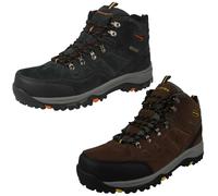 Baskets Basses Skechers Pelmo - 41