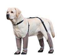 Bottes Chauffantes Antidérapantes Pour Chiens De Grande Taille : Protection Des Pattes L