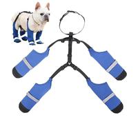 Bottes de protection communes pour pattes de chien, bottes d'hiver pour