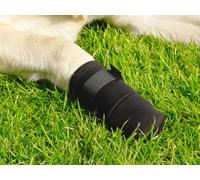 Beeztees Bottes de Protection pour Chien Taille M 2 Pièces