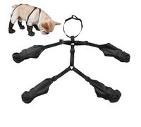 Bottes de suspense de chien - Leggings anti-mètres étanches pour la protection de la patte, conception avec ajustement réglable, chariot pour prévenir les blessures, garder les pattes propres et soute