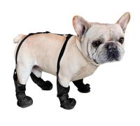 Bottes de suspense de chien - Leggings anti-mètres étanches pour la protection de la patte, conception avec ajustement réglable, chariot pour prévenir les blessures, garder les pattes propres et soute