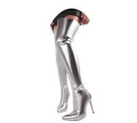 Bottes montantes 2026 pour femmes, à talons épais métalliques, au-dessus du genou, à talons bloqués, pour concert, discothèque, longues, Argenté., 40 EU