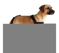 Bottes porte-jarretelles pour chien | Chaussures imperméables anti-saleté, leggings réglables antidérapants avec bande réfléchissante, pour chiots, animaux de compagnie, temps froid, hiver extérieur