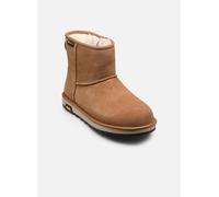 Bottes UGG M Classic Mini GTX pour 45 Marron