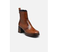 Bottines et boots Dorking Cristel D9157 pour Femme 41 Marron