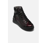 Bottines et boots Fluchos POMPAS F2250 pour Femme 39 Bordeaux