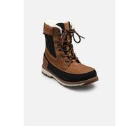 Bottines et boots Kimberfeel Lordan pour Homme 45 Marron