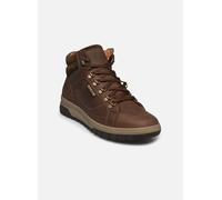 Mephisto Pitt Marron / Homme - 42