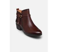 Bottines et boots Pikolinos DAROCA W1U-8901C1 pour 38 Marron