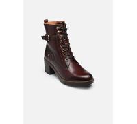 Bottines et boots Pikolinos Llanes W7H-8510 pour Femme 41 Marron