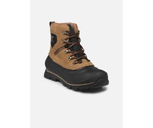 Bottines et boots Sorel BUXTON LACE BOOT WATERPROOF pour Homme 43 Marron