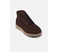 Bottines et boots Timberland Britton Mills Mid Lace Up Chukka pour 43 Marron