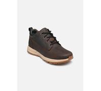 Timberland Baskets Killington Trekker Half Cab