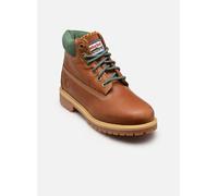 Bottines et boots Timberland PREM 6 IN LACE WATERPROOF BOOT WHEAT pour 32 Marron