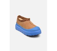 Bottines et boots UGG M Tasman Weather Hybrid pour Homme 41 Marron