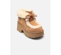 Bottines et boots UGG W Esmee Lace Up pour Femme 41 Marron