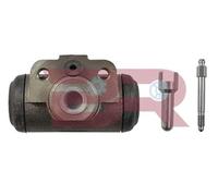 BOTTO RICAMBI BRFR5722 Cylindre de roue Arrière Compatible avec IVECO ZETA