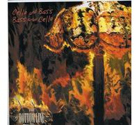 Bottom Line Duo - Cello & Bass Bass & Cello