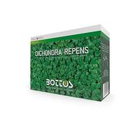 Bottos Semences pour la pelouse Dichondra Repens 0,5 kg