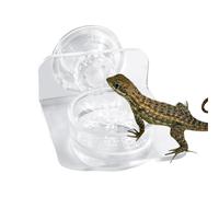 Boublon d'alimentation du Reptile Magnétique - Gecko Food & Water Dish | Bol d'alimentation Magnétique Forte pour Terrariums, Plate-Forme d'alimentation Élevée À Économie D'espace pour Les Lézards Et