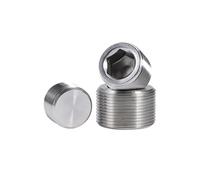 Bouchon à filetage externe Hexagonal interne en acier inoxydable M4 M5 M6 M8-M33 304, filetage fin métrique(5pcs M10X1.0)