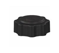 Bouchon antigel voiture Bouchon de réservoir d'expansion pour Mini pour Cooper S R53 02-06 R52 pour Convertible pour Cooper S 04-07 Freelander 17107515499