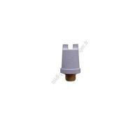 Bouchon centrale vapeur 5512810411