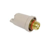 Bouchon Chaudiere Centrale Vapeur Delonghi Wx1460