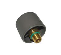 bouchon de chaudiere centrale vapeur rowenta master dg530 CS-00098729