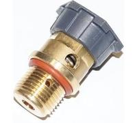 Soupape de sécurité (avec bouchon) Centrale vapeur (500582188 ASTORIA)