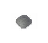 Bouchon De Pot A Sel