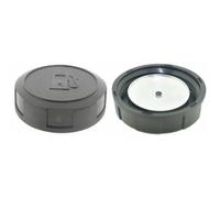 Bouchon de réservoir à essence BRIGGS ET STRATTON 493988