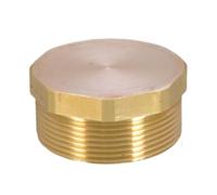 Bouchon de tuyau, bouchon de tuyau fileté - Connecteur en acier au carbone, adaptateur de tuyau, connecteur aveugle portable, bouchon de tuyau d'eau pour pétrole, pétrochimie, élaboration de cerve