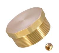 Bouchon de tuyau fileté, bouchon, bouchons de tuyau avec prise hexagonale externe - bouchon de porte, bouchon de tuyau d'eau, adaptateur de tuyau, raccord de bouchon de fermeture pour