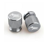 Bouchon de Valve de Moto en Alliage d'aluminium pour HON@&DA Africa Twin CRF1000 CRF1000L CRF1100 XRV750 CRF 1000 1100 L, 2 Pièces Bouchons De Valve Roue Moto(Ww-7)