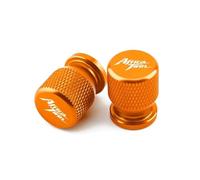 Bouchon de Valve de Pneu pour Hon@&da Africa Twin CRF1000 CRF1000L CRF1100 XRV 750 XRV750 CRF 1000/1100/L Bouchon De Valve De Pneu Moto Air Port Stem Cover(C)