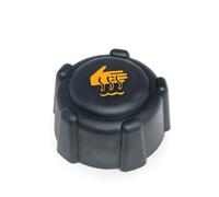 Bouchon de Vase d’Expansion Bocal Liquide Refroidissement compatible pour Captur Clio Espace Kangoo Laguna Master Megane Scenic Twingo Duster Sandero 8200048024 7700805131