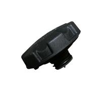 JP Group Bouchon de vase d'expansion pour BMW Série 6 E63/E64 (05/2002-07/2010)